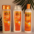PACK MÉTODO CURLY